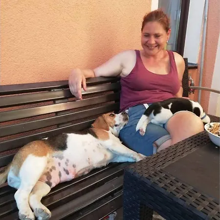 Sinnes Wandel Hof Serka Apartment Grimma