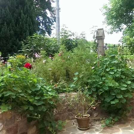 Sinnes Wandel Hof Serka * Grimma