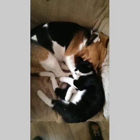 Apartment Sinnes Wandel Hof Serka