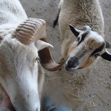 Sinnes Wandel Hof Serka Apartment Grimma