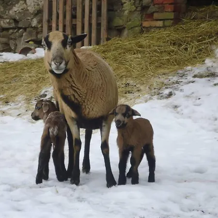 Sinnes Wandel Hof Serka *