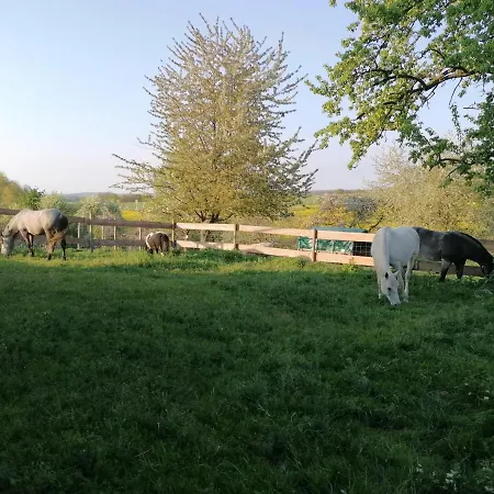 Sinnes Wandel Hof Serka * Grimma